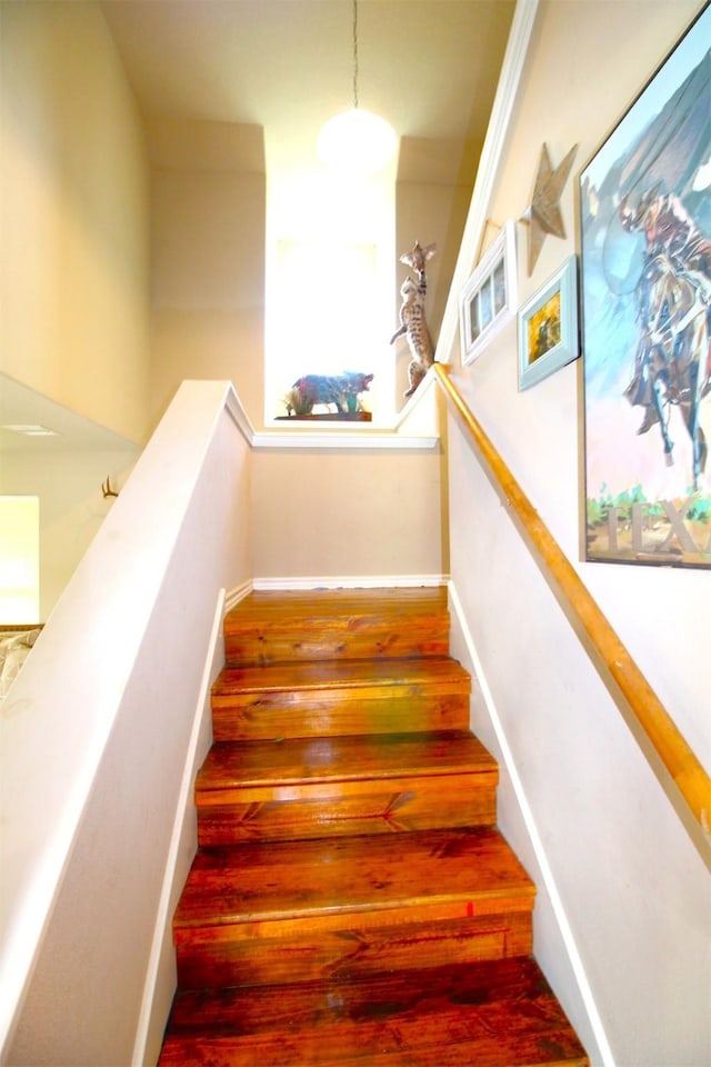 stairway with hardwood / wood-style flooring