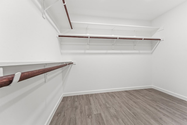 walk in closet with dark hardwood / wood-style floors