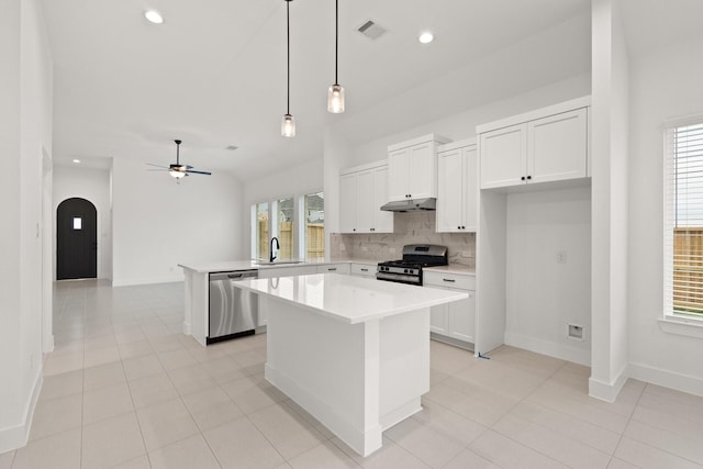 kitchen with ceiling fan, a kitchen island, plenty of natural light, and stainless steel appliances