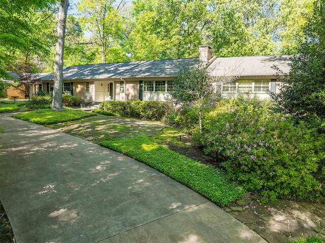 ranch-style house featuring a front yard