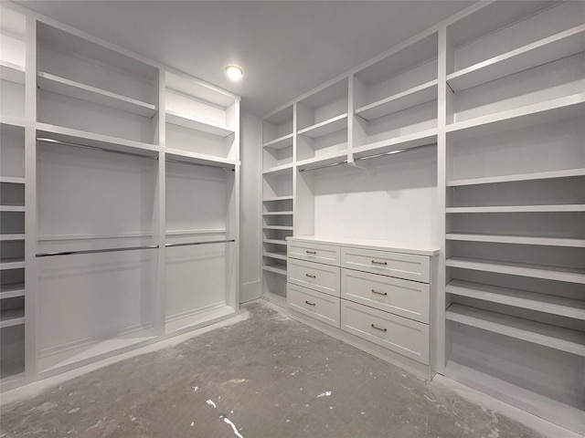 view of spacious closet