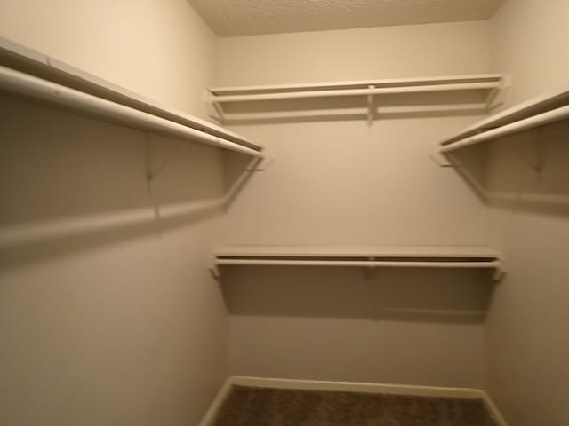 spacious closet featuring carpet floors