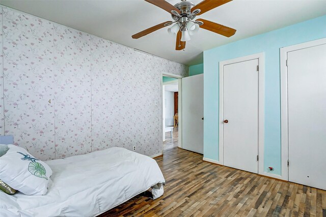 bedroom featuring ceiling fan, two closets, and hardwood / wood-style flooring