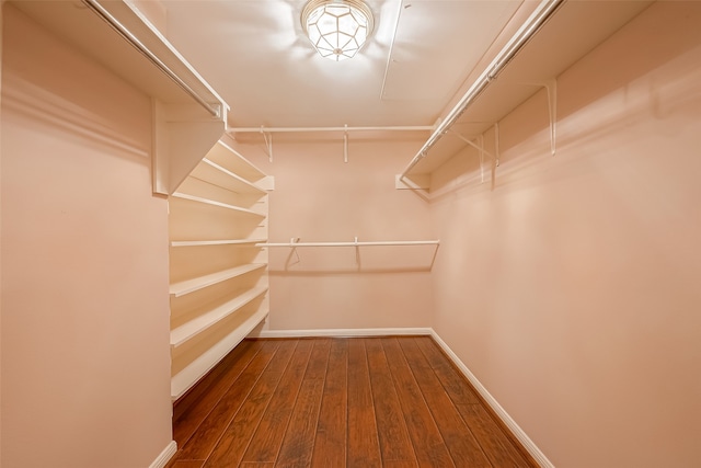 walk in closet featuring wood-type flooring