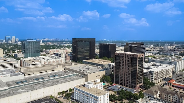 5150 Hidalgo St Unit 204, Houston, TX 77056 - view of city