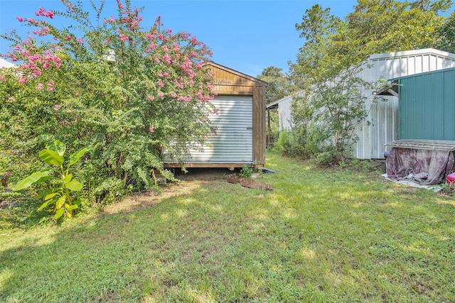 view of yard featuring a shed