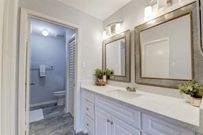 bathroom with toilet and vanity