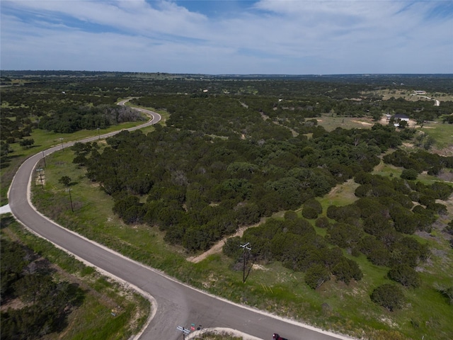 Listing photo 3 for 443 Deer Run Ct, Evant TX 76525