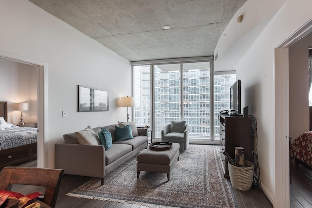 living room with expansive windows and dark wood-type flooring