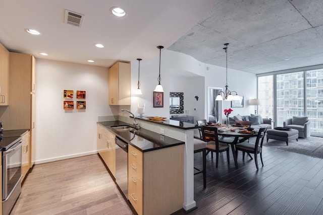 kitchen featuring kitchen peninsula, sink, appliances with stainless steel finishes, and a wall of windows