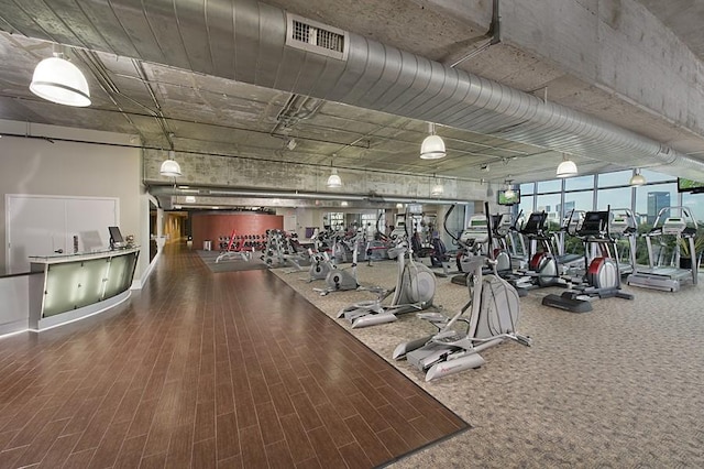 exercise room featuring wood-type flooring and a wall of windows