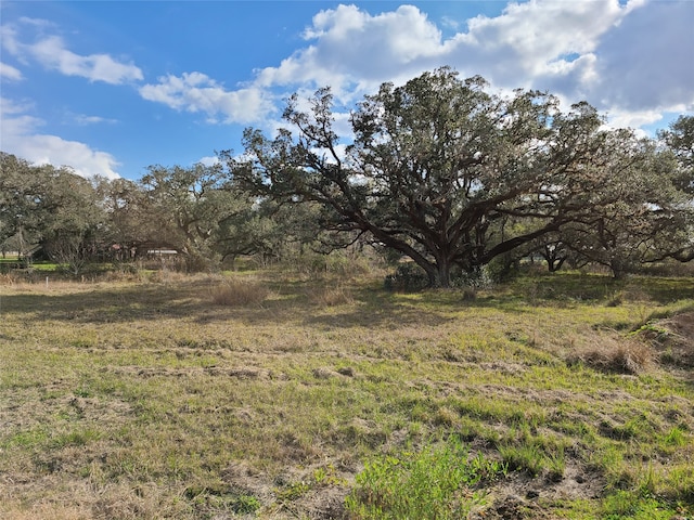 0 Cattle Dr, Bay City TX, 77414 land for sale