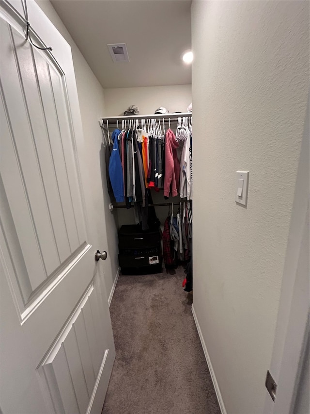 spacious closet featuring carpet flooring