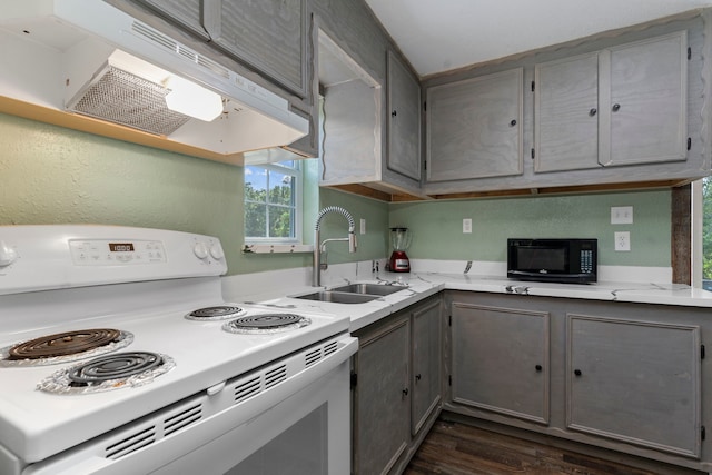 kitchen with white range with electric cooktop, sink, premium range hood, gray cabinets, and dark hardwood / wood-style flooring