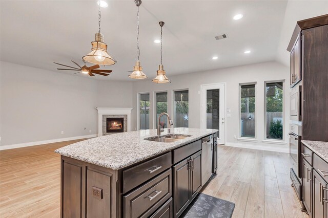 kitchen with light hardwood / wood-style floors, a kitchen island with sink, a healthy amount of sunlight, and sink