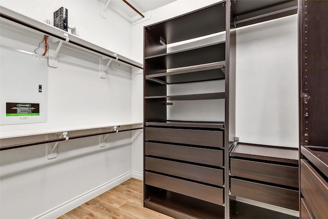 spacious closet featuring light hardwood / wood-style flooring