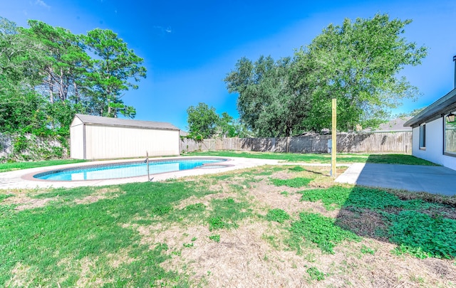 view of swimming pool with a yard, a patio area, and a shed