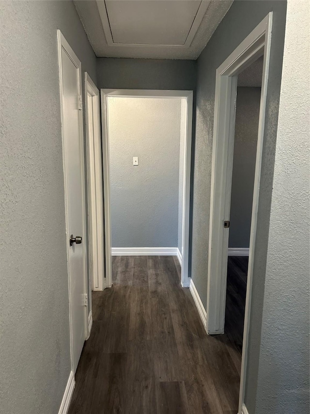 corridor featuring dark wood-type flooring