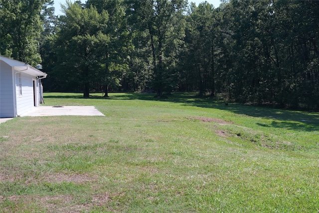 view of yard featuring a patio