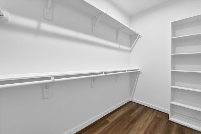 spacious closet with dark hardwood / wood-style flooring