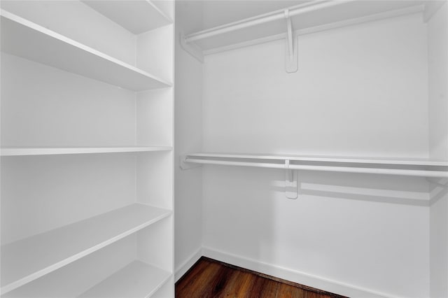 walk in closet with dark hardwood / wood-style floors