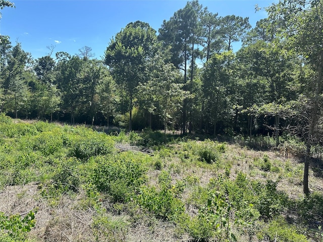 114 Red Haw, Onalaska TX, 77360 land for sale