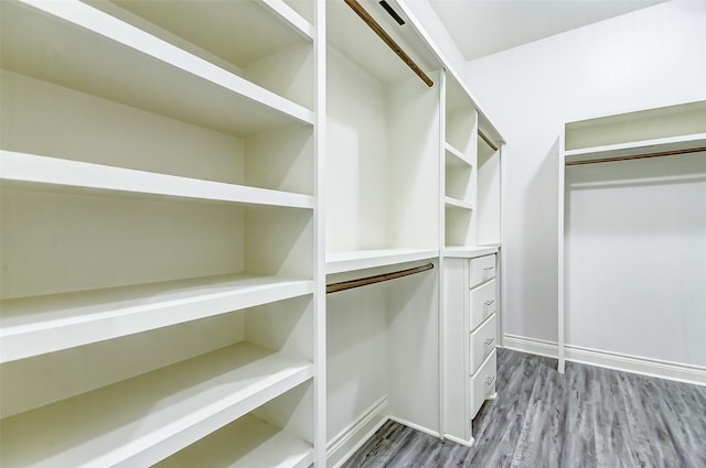 spacious closet featuring wood-type flooring