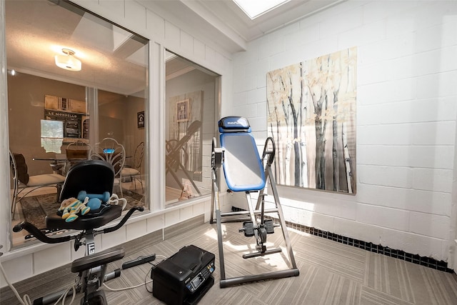 exercise area featuring carpet and ornamental molding