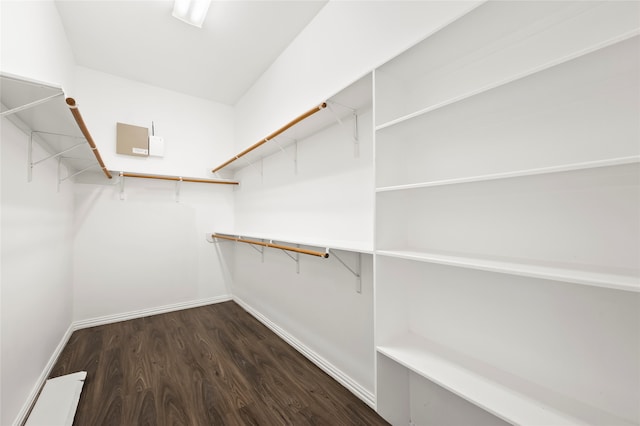 walk in closet with dark hardwood / wood-style floors