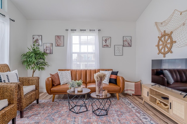 living room featuring hardwood / wood-style floors