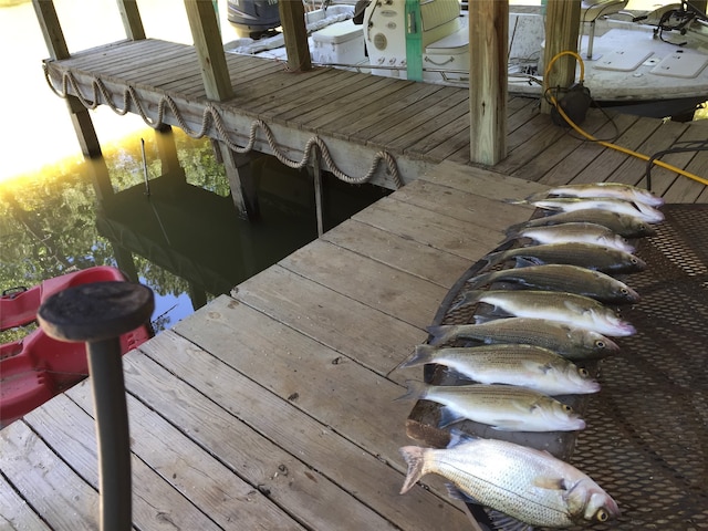 view of dock