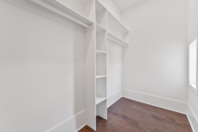 walk in closet with dark hardwood / wood-style floors