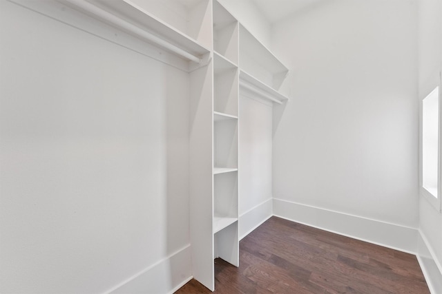 walk in closet with dark wood-style flooring