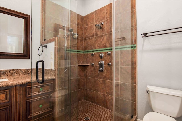 bathroom featuring vanity, toilet, and a shower with shower door