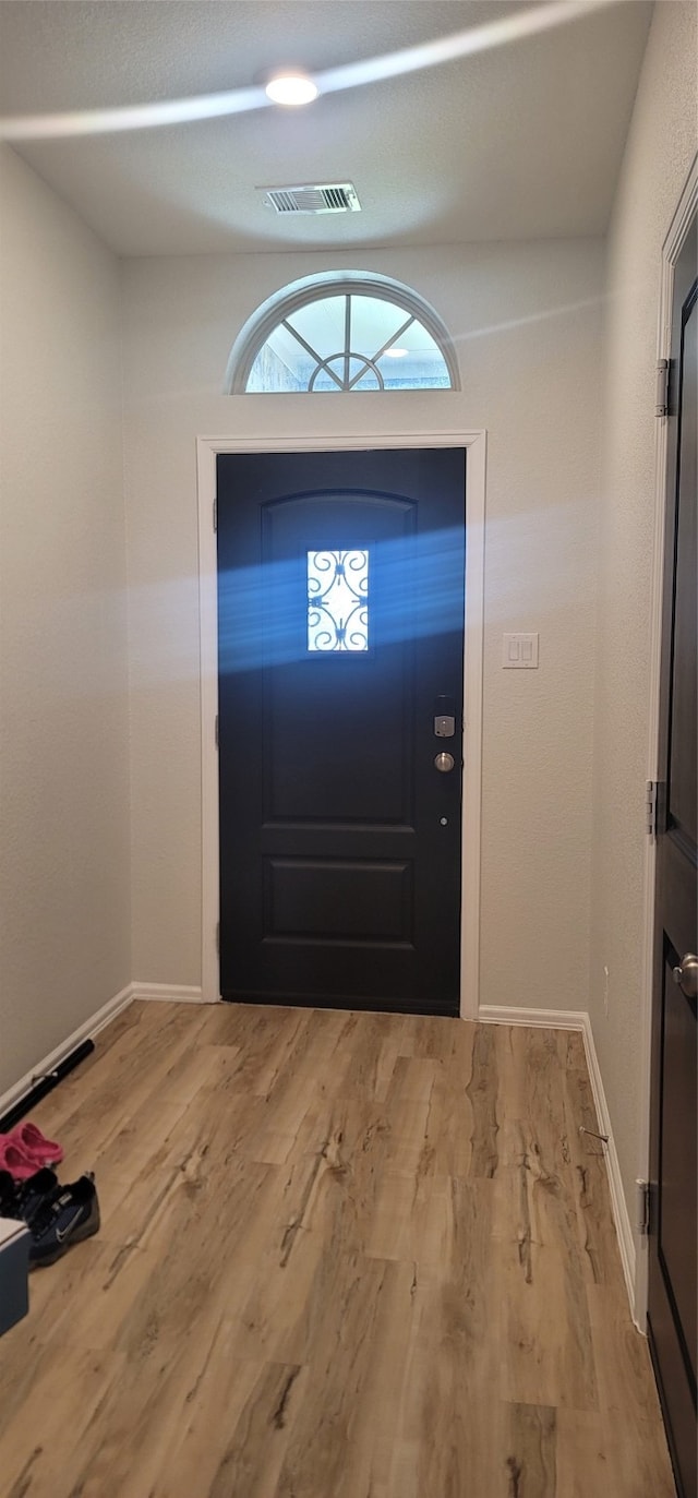 foyer with hardwood / wood-style flooring