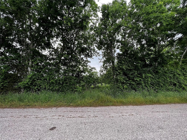 00 Old Phillipsburg Rd, Brenham, TX 77833 - photo 4