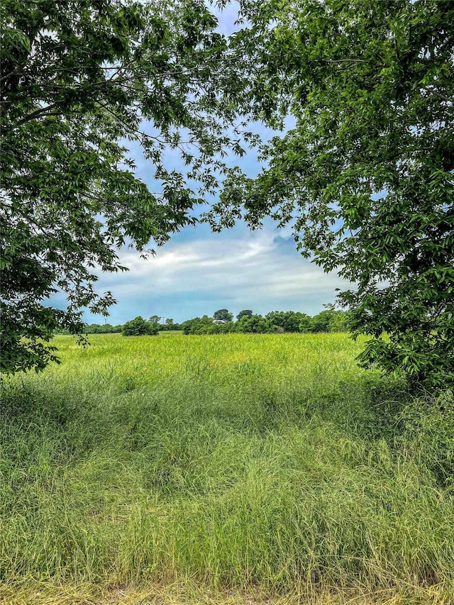 00 Old Phillipsburg Rd, Brenham, TX 77833 - photo 6