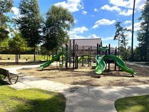 view of jungle gym