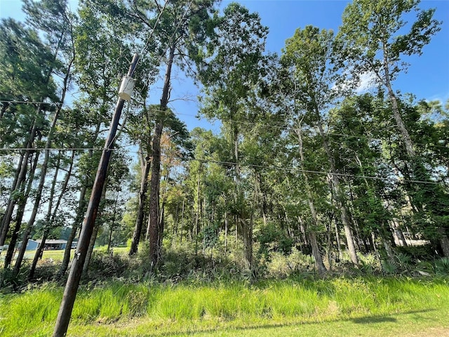 Listing photo 3 for TBD Payne Road, Conroe TX 77302