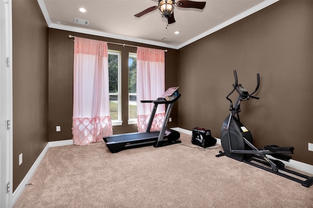 workout area featuring crown molding, ceiling fan, and carpet flooring