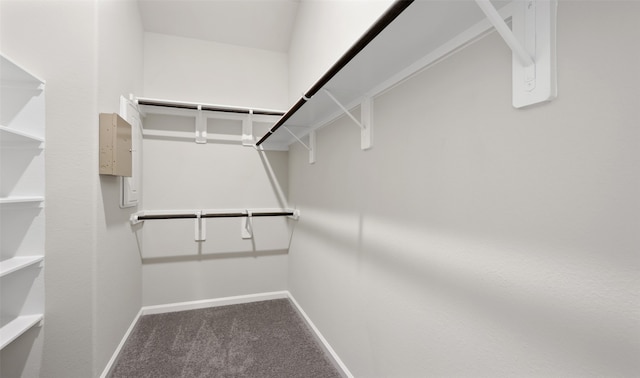 spacious closet with carpet flooring