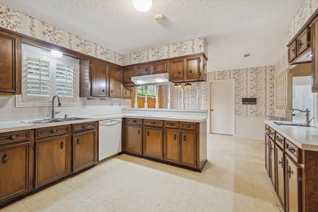 kitchen featuring sink, white dishwasher, a healthy amount of sunlight, and kitchen peninsula