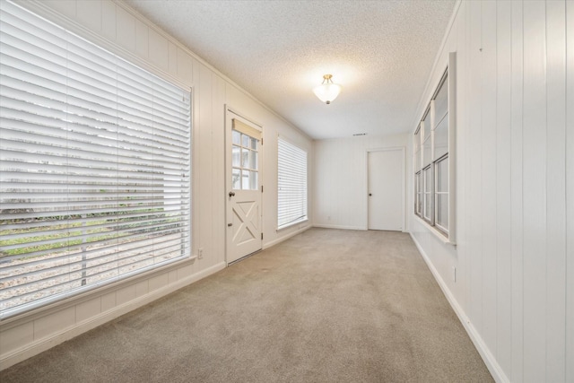 carpeted empty room featuring a textured ceiling and wood walls