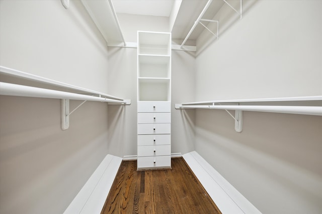 walk in closet featuring dark wood-type flooring