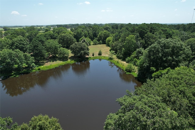 TBD Finway Dr, Grapeland, TX 75844 - photo 3