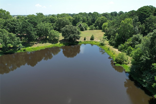 TBD Finway Dr, Grapeland, TX 75844 - photo 4