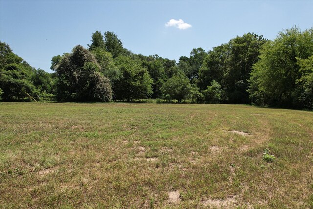 TBD Finway Dr, Grapeland, TX 75844 - photo 9