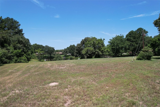 TBD Finway Dr, Grapeland, TX 75844 - photo 11