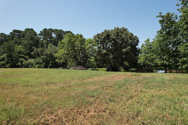 TBD Finway Dr, Grapeland, TX 75844 - photo 13