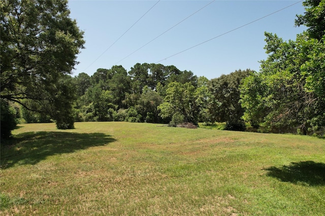 TBD Finway Dr, Grapeland, TX 75844 - photo 14